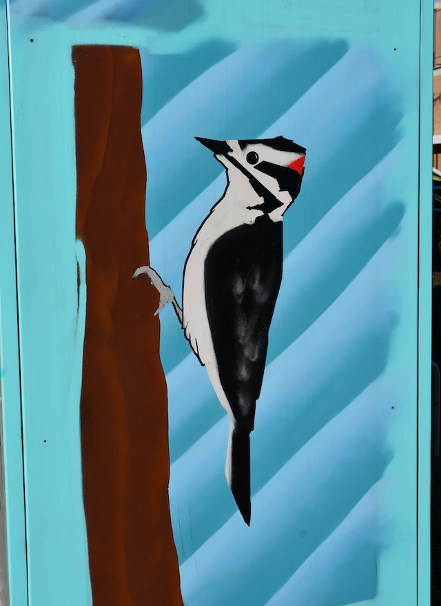 Finished electrical box painted with a Downy Woodpecker.