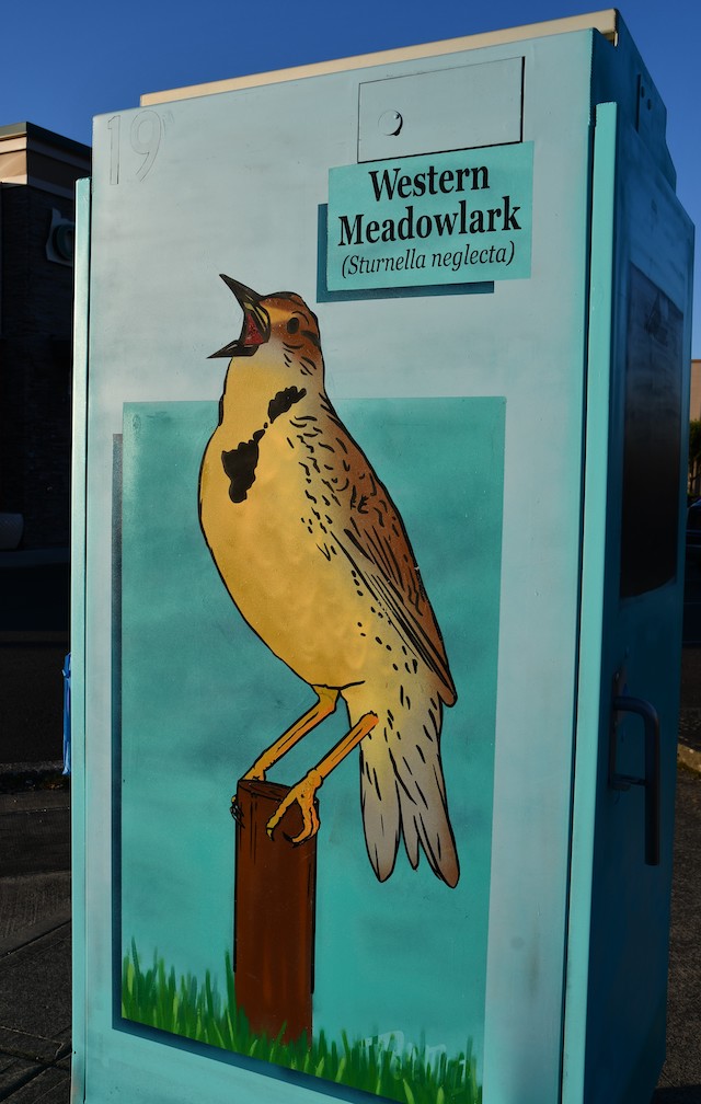 Finished electrical box painted with a Western Meadowlark,