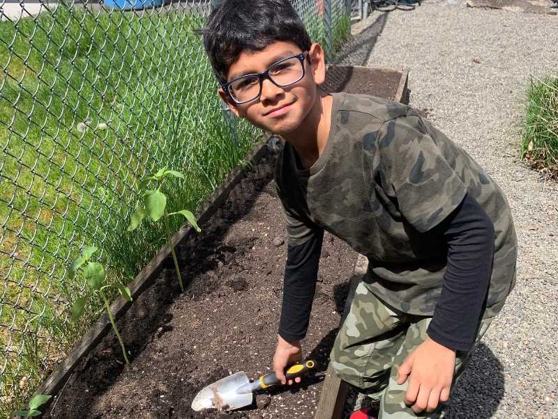 Student digging for plany in flower bed.