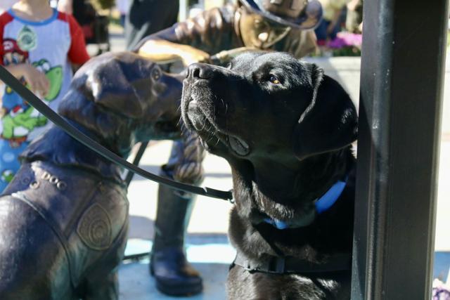 Tagg standing by the Tagg statue.